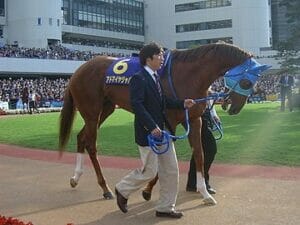 アドマイヤジャパン去勢