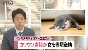 カワウソ虐待書類送検Ayako