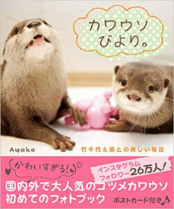 カワウソ虐待書類送検Ayako