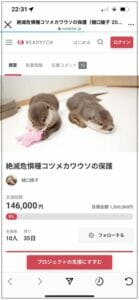 カワウソ虐待書類送検Ayako